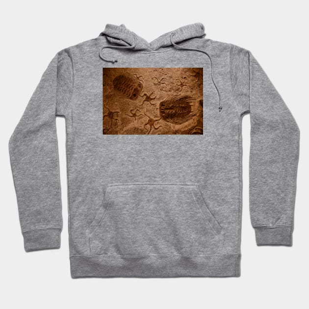 Fossil Hoodie by Wolf Art / Swiss Artwork Photography